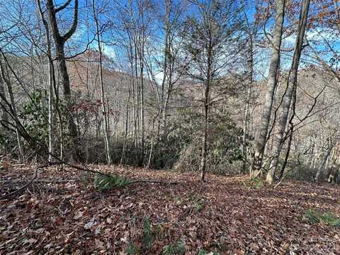 00 Rock House Cove Road, Clyde, NC 28721
