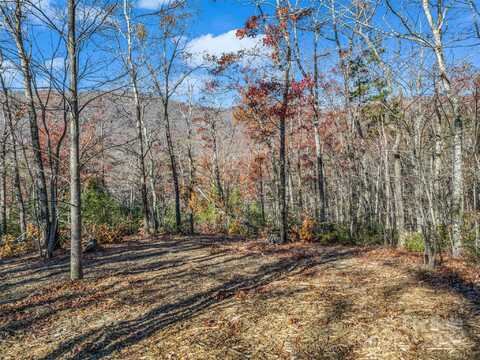 144 Wee Burn Cove, Mill Spring, NC 28756