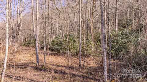 Culvin Creek Road, Marshall, NC 28753