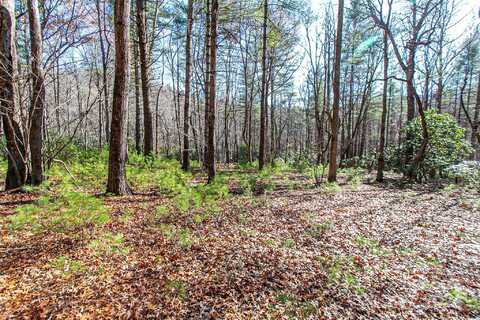 Tbd Cherrywood Lane, Pisgah Forest, NC 28768