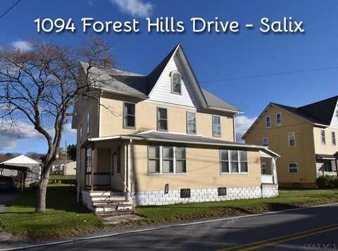 1094 Forest Hills Drive, Salix, PA 15952