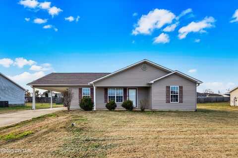 41 N Craves Circle, Bells, TN 38006