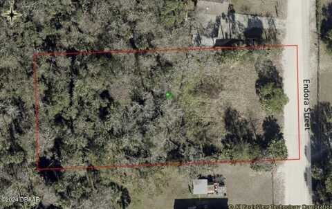 308 Endora Street, Ormond Beach, FL 32174
