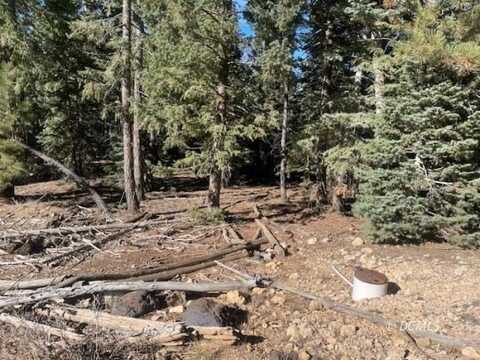 2245 E Big Timber Dr, Duck Creek Village, UT 84762