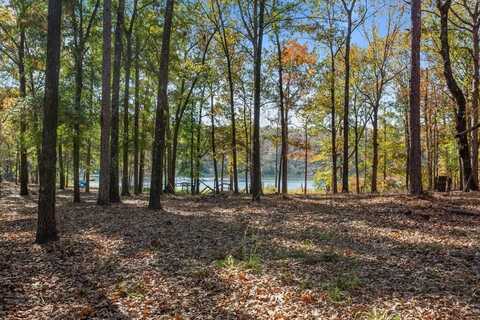 Lot 15 & 16 Hidden Lagoon Estates, Fort Gaines, GA 39851