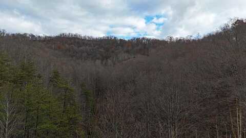 00 Walnut Hollow of Mallet Fork, Pine Top, KY 41843