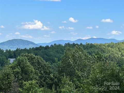 65 Serene Trail 461, Nebo, NC 28761