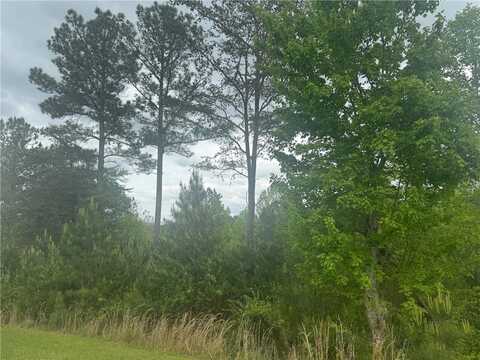 L231 Ridge Point, Blairsville, GA 30512