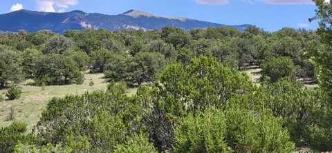 38.9 Acres Dark Canyon, Magdalena, NM 87825