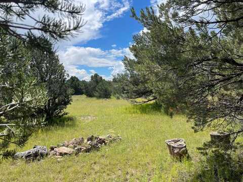 7 GILA Drive, Quemado, NM 87829