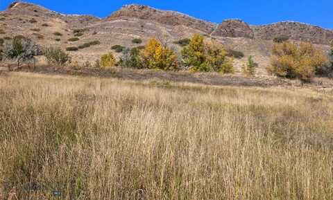 Tbd N L Street, Livingston, MT 59047