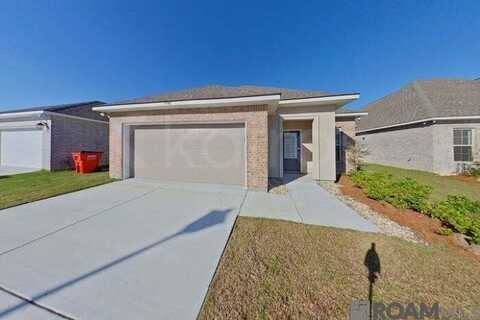 13961 ROSEWELL ST, Denham Springs, LA 70726