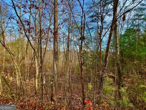 8 Firefly Ridge, Blairsville, GA 30512