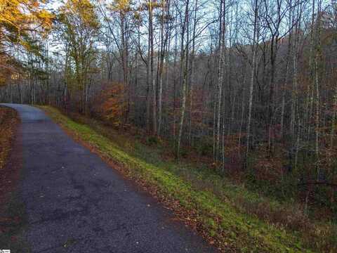 undefined, Travelers Rest, SC 29690