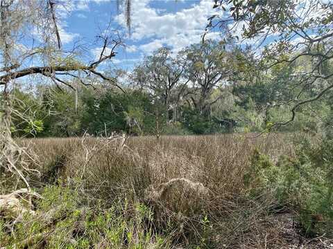 Lot 29 Tolomato Drive, Darien, GA 31305