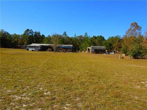 749 Auction Road, Waynesville, GA 31566