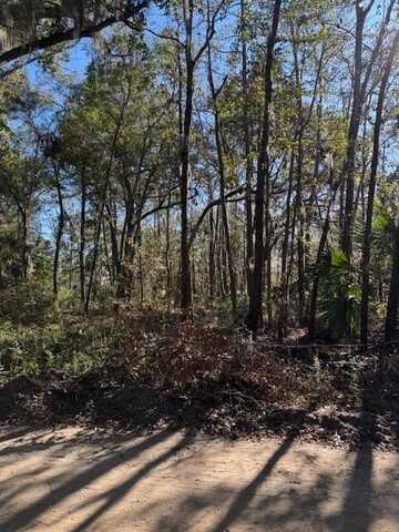 Lot 3 Blue Heron Lane Lane SE, Darien, GA 31305