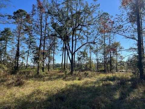 437 Salt Creek Way E, Brunswick, GA 31523