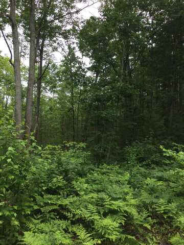 Dodge Lk Road, Gaylord, MI 49735