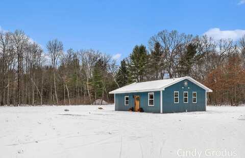 4360 E 82nd Street, Newaygo, MI 49337