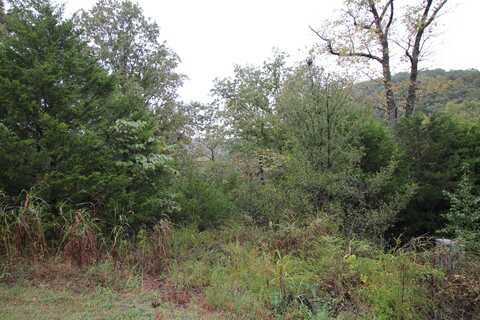 Lot 3 Silver Oak Way, Branson West, MO 65737