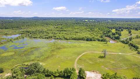 12250 CR 3513, Brownsboro, TX 75756