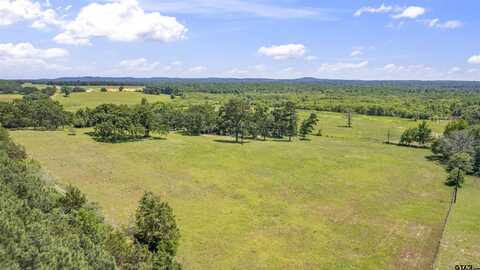 12250 CR 3513, Brownsboro, TX 75756