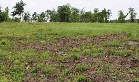 TBD CR 2217 - Lot 3, Rusk, TX 75785