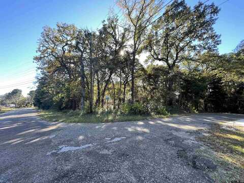 333 Neches Dr, Bullard, TX 75757