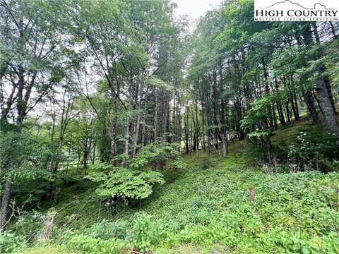 Lot 3 Riverwood Lane, Sugar Grove, NC 28679