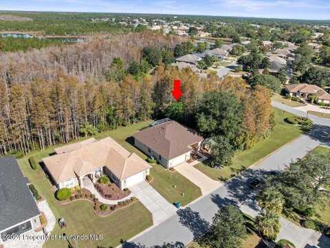 8689 Mississippi Run, Weeki Wachee, FL 34613