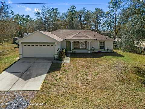 11262 Sneeze Road, Weeki Wachee, FL 34614