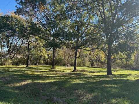 604 Tidmore St, Malakoff, TX 75148