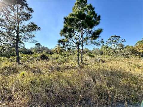 865 Bonanza Avenue NW, Lake Placid, FL 33852