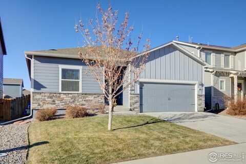 14817 Longhorn Dr, Mead, CO 80542