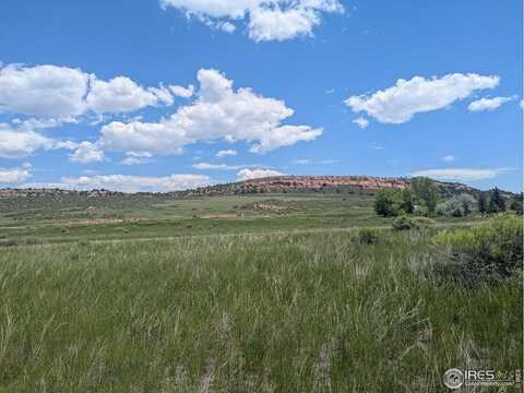 124 Springs Ranch Rd, Laporte, CO 80535
