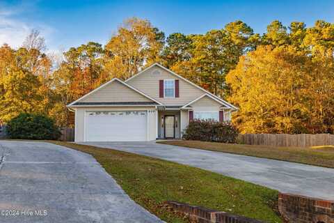 409 Tasha Terrace, Swansboro, NC 28584