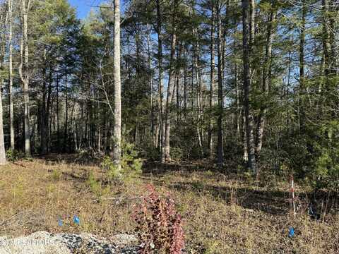 Lot 17 Ferry Bend Tr, Crossville, TN 38571