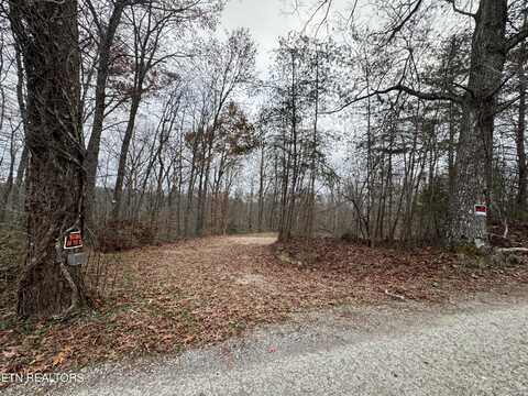 Knotty Pine Lane, Duff, TN 37729