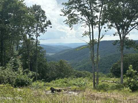1560 E Overlook Rd, Monterey, TN 38574