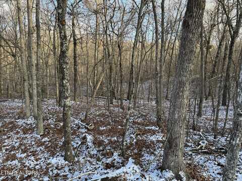 Crystal Point, Monterey, TN 38574