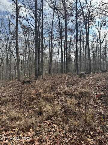 Peachtree Drive, Crossville, TN 38555