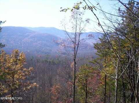 Townsend Drive, Sevierville, TN 37876