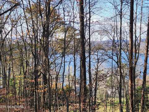 106 Lakeview Drive, Harriman, TN 37748