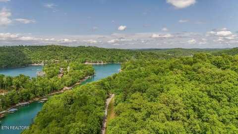 Yoakum Hollow Rd, Jacksboro, TN 37757