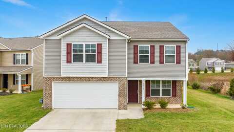 9616 Joy Denise Lane, Heiskell, TN 37754