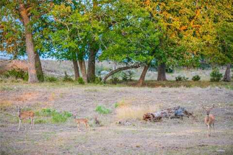 100acres Highway 83 Highway, Mountain Home, TX 78058