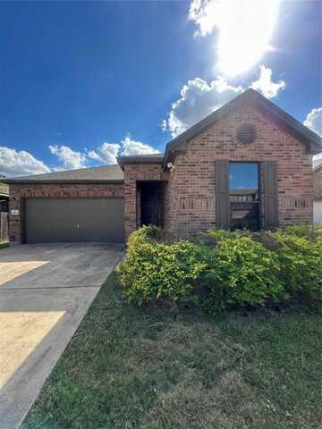 12013 Oaklynn CT, Manor, TX 78653