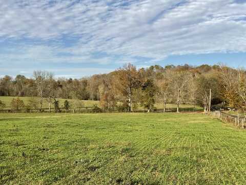 1 Possum Hollow Rd., Palmyra, TN 37142