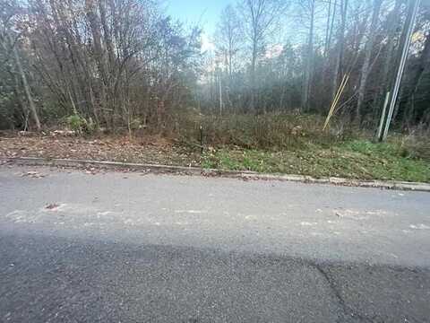Lot 1 Harts Way, Cosby, TN 37722